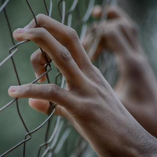 hands fence