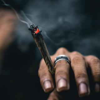 joint