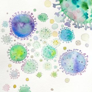 virus