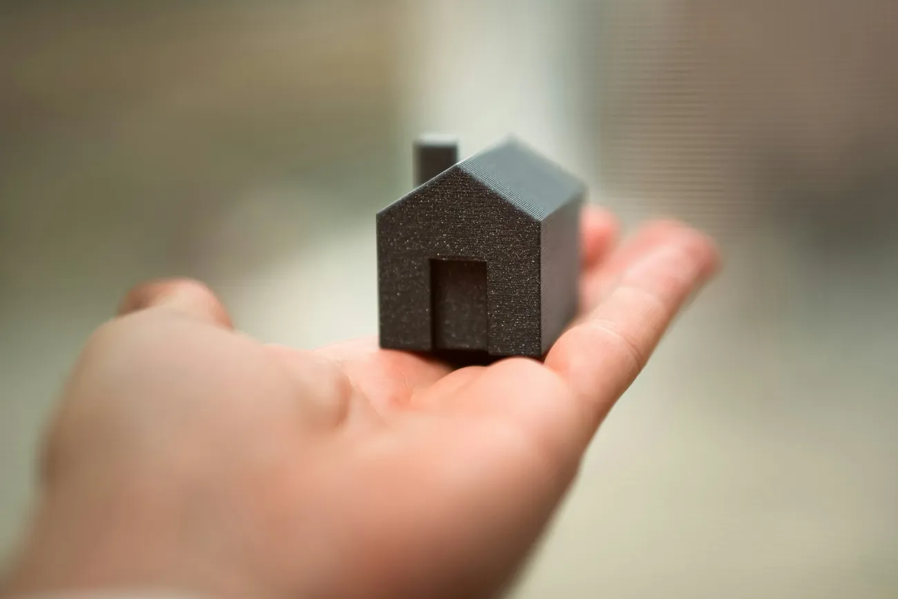 Person holding a small model of a house in their outstretched palm.